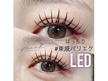 フルールシュア(fleur sr.)