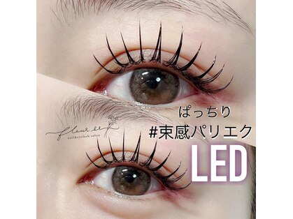 フルールシュア(fleur sr.)の写真