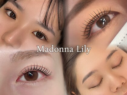 マドンナリリー(Madonna Lily)の写真