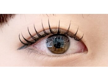 ミストアイラッシュ(mist eyelash)/フラットラッシュ120本/マツエク