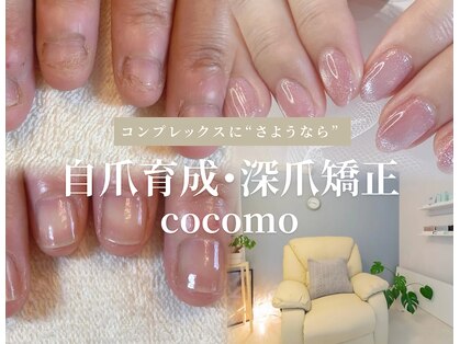 ココモ(cocomo)の写真