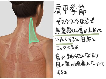 美容整体 アルマ/肩こりはここを押しましょう