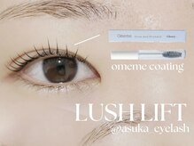 ザ サロン ステラ 五反田(THE SALON stella)/プランプラッシュリフト