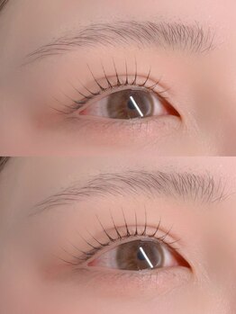 ロリ(Loli)/ラッシュリフト/まつげパーマ