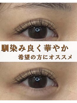 クレオ(CREO)/フラットラッシュ100