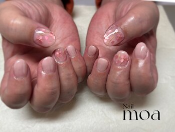 モア(moa)/ベーシックコース