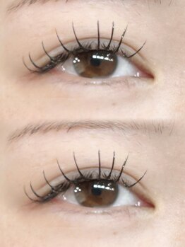 フルール(FLEUR)/フラットラッシュ120本