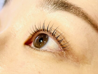 ランプリール アイラッシュサロンの写真