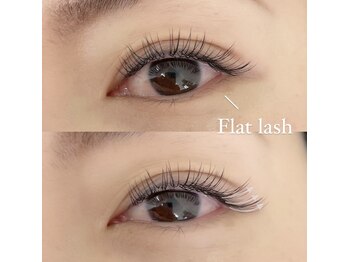 ミューズ(muse)/フラットラッシュ120本