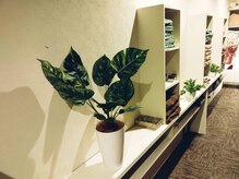 健美庵 三萩野店/店内