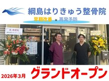 綱島はりきゅう整骨院