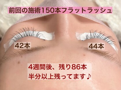 リリオ(Lirio.)の写真