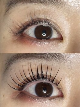 エーラッシュ(A-Lash)/ビフォー＆アフターまつげパーマ