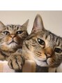 ラジェ 浜松小豆餅店(LAGE) 愛猫のみつは・よつはです!