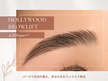 立ち上げ美眉に◆ハリウッドブロウリフト HBL◆