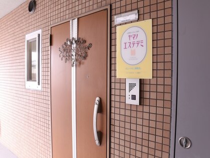 エルハナ(elhana)の写真