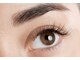ビューティーコレクション アリレイナ(BEAUTY COLLECTION ARIREINA)の写真