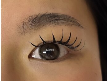 クルム(guleum)/バインドロック120束