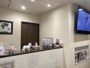 メルシー13/【メルシー13】