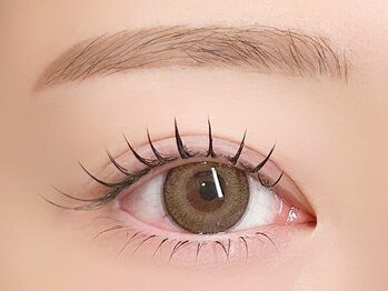 ブルームバイスリー(Bloom by THLEE)/LEDフラットラッシュ140本