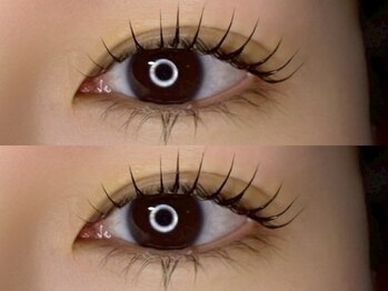 リンク(LINC.)/パリジェンヌラッシュリフト