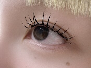 アンシル(ANCIL)/フラットラッシュ