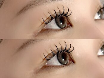 ベル リラ(Belle Lilas)/フラットラッシュ/LEDマツエク