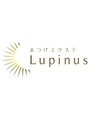 ルピナス(Lupinus)/佐々木　≪国立≫