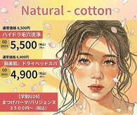 ナチュラルコットン(Natural - cotton)