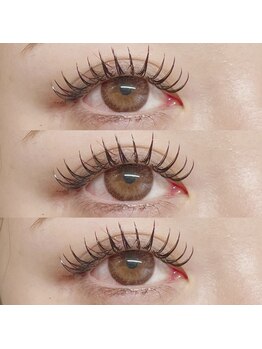 アイラッシュ ベイビーステップ(Eyelash Baby step)/バインドロック100束