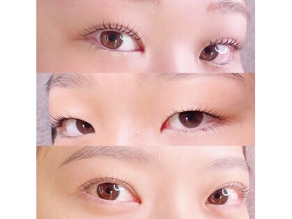 ミーティット(Meetite)の写真