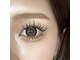 ニーヨンアイラッシュ(24eyelash)の写真