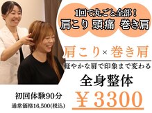 横浜駅きた西整体院/腰痛整体4