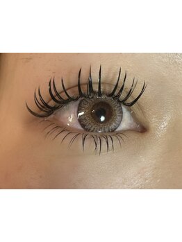 エクステの種類が豊富