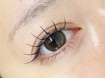 アイップル(eyepple)の写真/目元のナチュラルさ♪上品で綺麗な目元で自信あふれる私へ