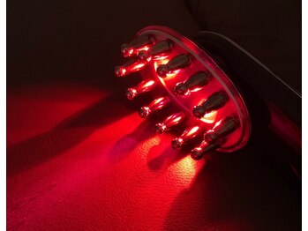 テテ(tete)/ヒト幹細胞培養液導入