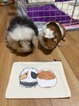 ネイルサロン バロック(Nail Salon BAROQUE)&nbsp;動物が大好きです♪我が家には小動物がたくさんいます！