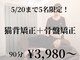 ベルの写真