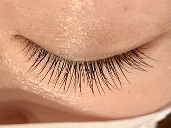 レミア 関内(REMIA)/12月 フラットラッシュ