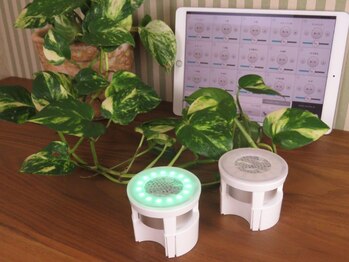 ラシュシュ(La chou chou)/イーマサウンド