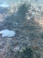 美人バスト 横浜店&nbsp;旅行に行くのも好きです♪沖縄の海の中の様子撮ってみました！！
