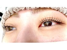 ヒッポ(Hippo)/まつ毛パーマ