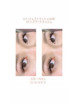 アグライア(Aglaia)/Perfect lash無制限