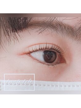 リコリス(licoris)/ラッシュリフトファービーカール