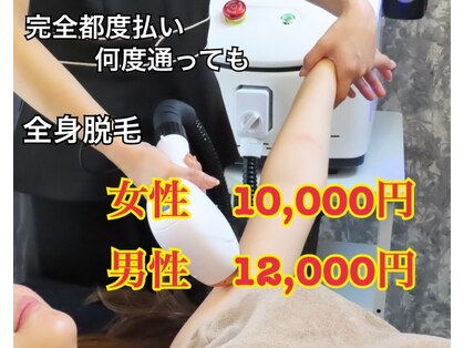 ステラ(STELLA)の写真