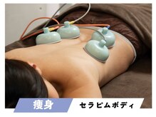 セルフィッシュビューティー/痩身／セラピムボディEMS