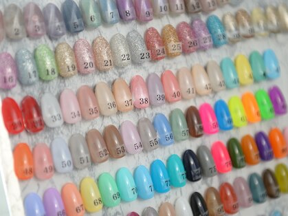 イースターリリー(EasterLily)の写真