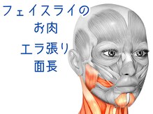 ナチュラルパーフェクトフェイス 新宿/顎下げ原因筋群【新宿駅小顔】