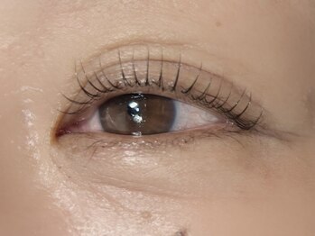 シャローム アローヴ(shalom alob)/【カールデザイン】