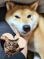 いまふく治療院&nbsp;実家の犬と我が家の猫が最高の癒しです。